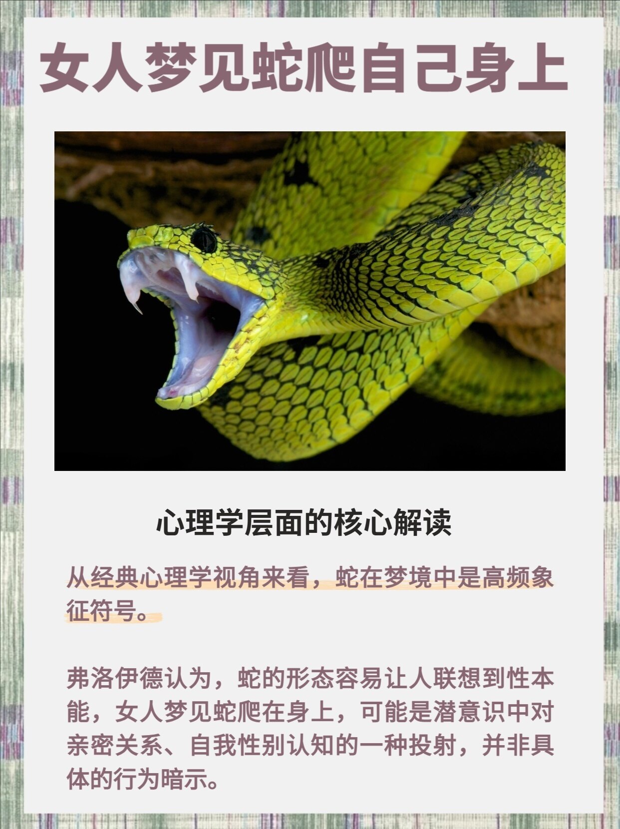 梦到蛇钻进我身体什么意思？解析潜意识中的自我蜕变与能量觉醒