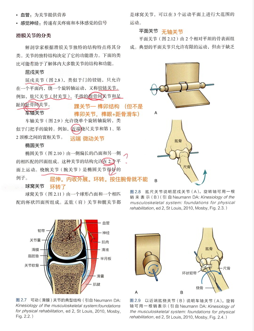 关节的分类